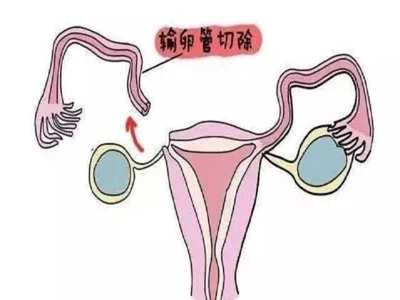 广州供卵信任坤和助孕预约,广州供卵到坤和助孕全心