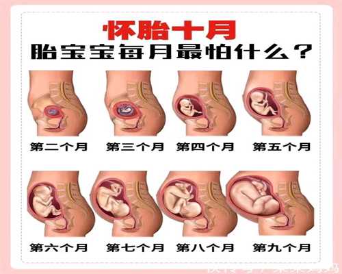 超实用的环球宝贝助孕哺乳期用药指导！（下）：深圳助