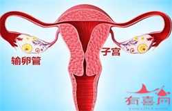 广州代孕生子的办法，广州生殖助孕医院排名