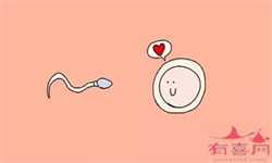 广州找代孕人，广州怎么治子宫性不孕？