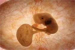 广州供卵代怀生儿子，广州输卵管不畅初期症状治疗-广州输卵管不畅哪