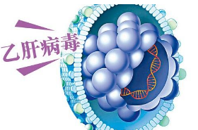 广州哪里可以找到供卵试管，广州助孕中心试管婴儿成功率有多高广州试管婴儿