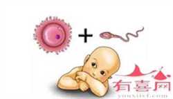 广州供卵试管产子包性别，为什么广州女子会子宫性不孕？
