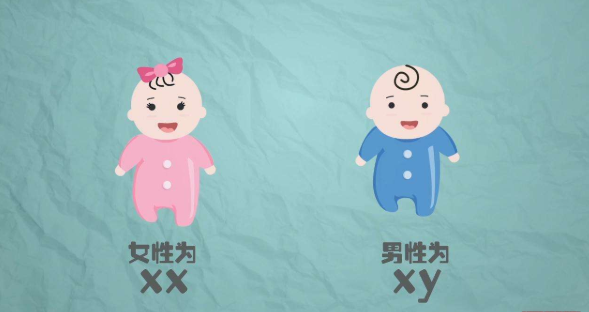 广州供卵试管产子的流程，【广州长安医院做供卵吗】记录两天两页顺产过程（