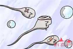 广州代怀机构供卵，【广州有几家供卵机构】第一个月就中，希望宝宝平安健康