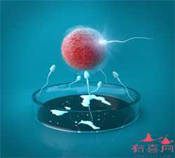 广州代孕代孕，广州试管婴儿第三代技术成功率多高