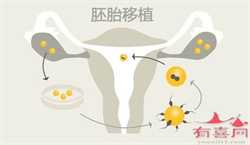 广州供卵试管代怀医院，广州供卵试管费用大概多少钱