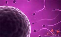 广州供卵试管代孕流程，在广州私立医院申请供卵做试管多少钱