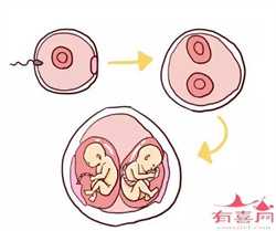 广州供卵试管生儿子价格，广州女性激素6项检查价格
