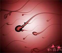 广州代孕妈妈生男孩，广州有没有正规精子库医院？广州有精子库吗？