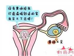 广州代孕妈价格，广州做第三代试管婴儿费用