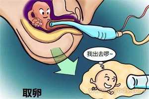 广州二代供卵试管，广州第三代试管婴儿流程