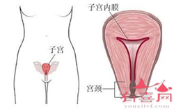 广州代孕性别，广州三代试管费用大约是多少？