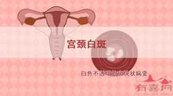 广州代生宝宝网，广州做第三代试管婴儿费用