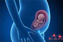 广州代孕生子价位，广州检查输卵管粘连价格