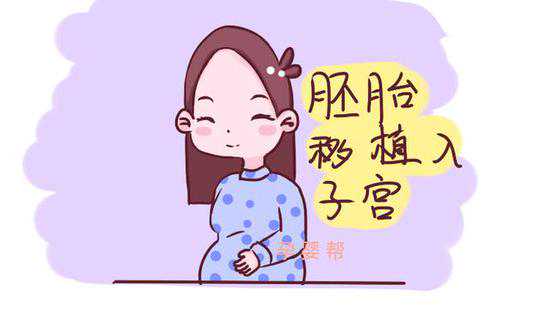广州供卵代怀费用，2022广州第三代试管婴儿医院费用介绍