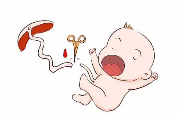 广州供卵代生小孩服务，广州一商业机构为男性提供代孕服务被查：可与客户共