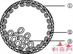 广州供卵代孕孩子中心，广州熹月国际月子中心连锁机构