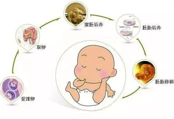 广州代生小孩产子，广州的月子中心有哪些