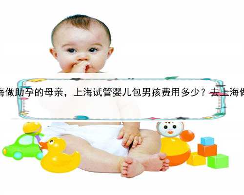 代孕中介哪家正规，上海做助孕的母亲，上海试管婴儿包男孩费用多少？去上海