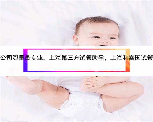 代孕公司哪里最专业，上海第三方试管助孕，上海和泰国试管婴儿