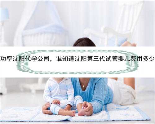 包成功率沈阳代孕公司，谁知道沈阳第三代试管婴儿费用多少钱？