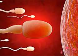 供卵助孕三代试管能成功吗,蚌埠助孕第三代试管助孕提高成功率的方法有哪些