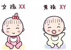 广州代孕生子套餐，广州捐卵试管代孕医