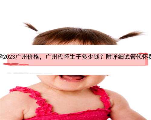 代怀孕2023广州价格，广州代怀生子多少钱？附详细试管代怀费用？