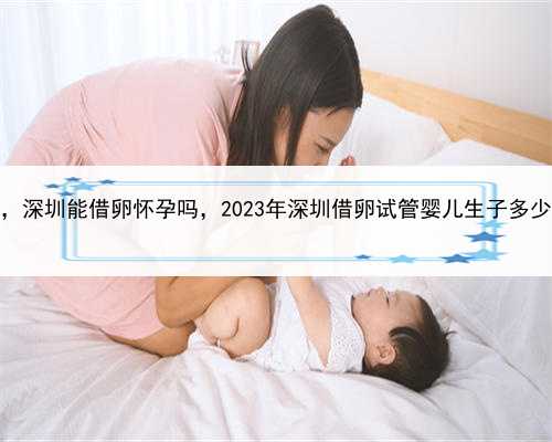 代孕中介哪家比较好，深圳能借卵怀孕吗，2023年深圳借卵试管婴儿生子多少钱