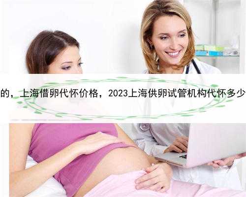 代孕生的孩子是谁的，上海借卵代怀价格，2023上海供卵试管机构代怀多少钱？