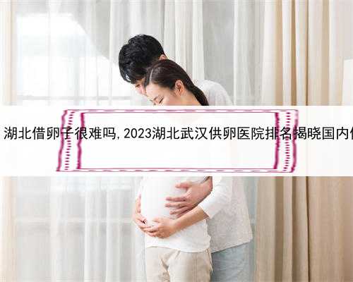 合法代孕孩子多少钱，湖北借卵子很难吗,2023湖北武汉供卵医院排名揭晓国内借